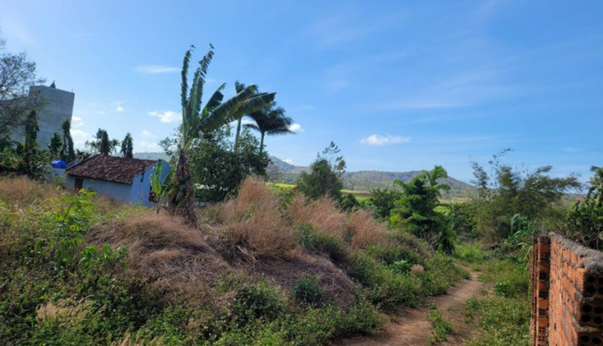 J008 dat dai lo dong tay buon ma thuot (2)