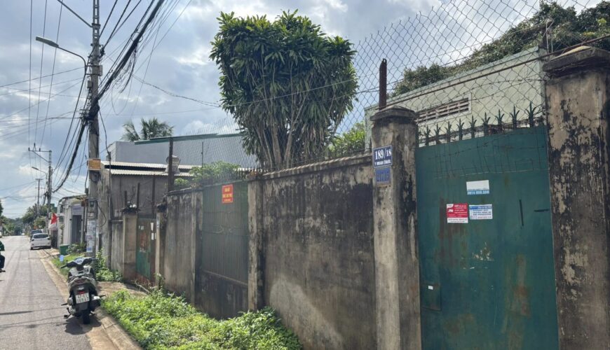 544997998_3314556512027607_8512832053653142985_n