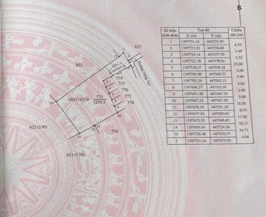 L081 dat y wang buon ma thuot (1)