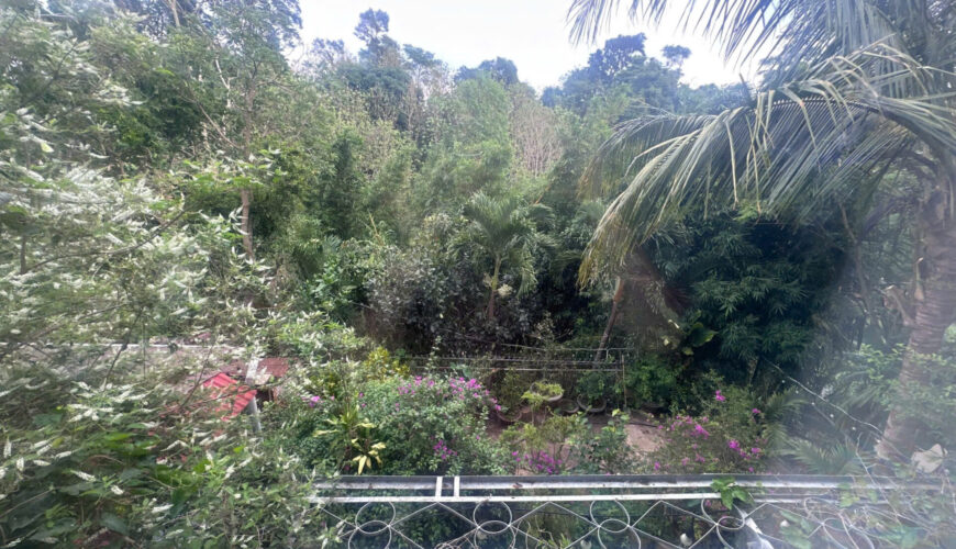 z6977588029884_7e314566b5f45203cff42a1fa253428a