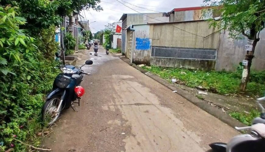 555011655_3331188657031059_7734444884618066513_n