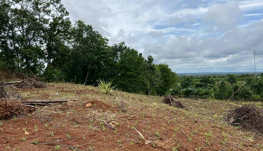 562356144_3357237271092864_6574081797863606841_n