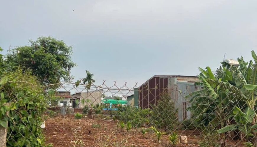 564026773_3357180277765230_1830416553279079984_n