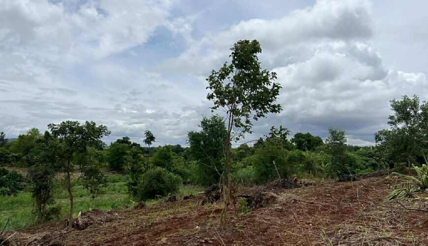 565097261_3357237287759529_6258632115298905828_n