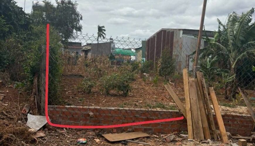 567675222_3357180331098558_7223994750828863739_n