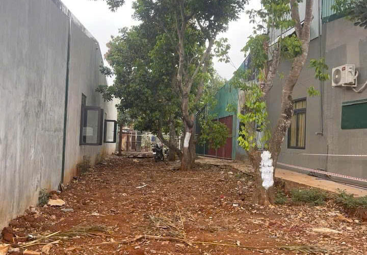 L084 Đất Tran Quy Cap Buon Ma Thuot (2)