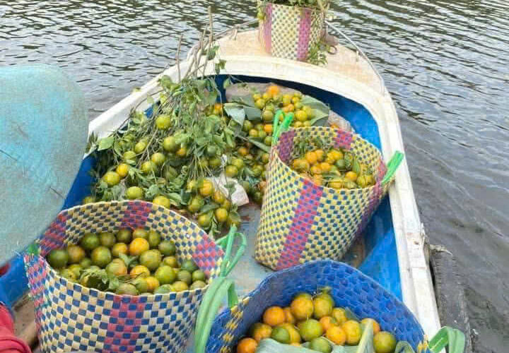 L090 20ha dat nong nghiep daknong (9)