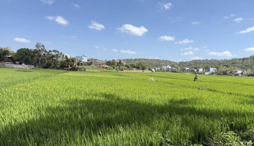 648840716_948876087595108_4573490680773430379_n