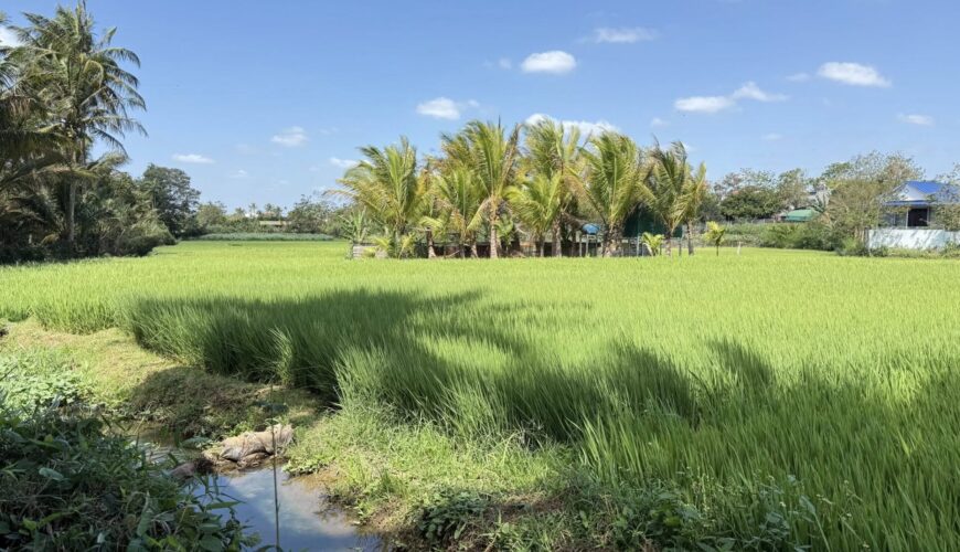 651202038_948876774261706_6839264804578600099_n