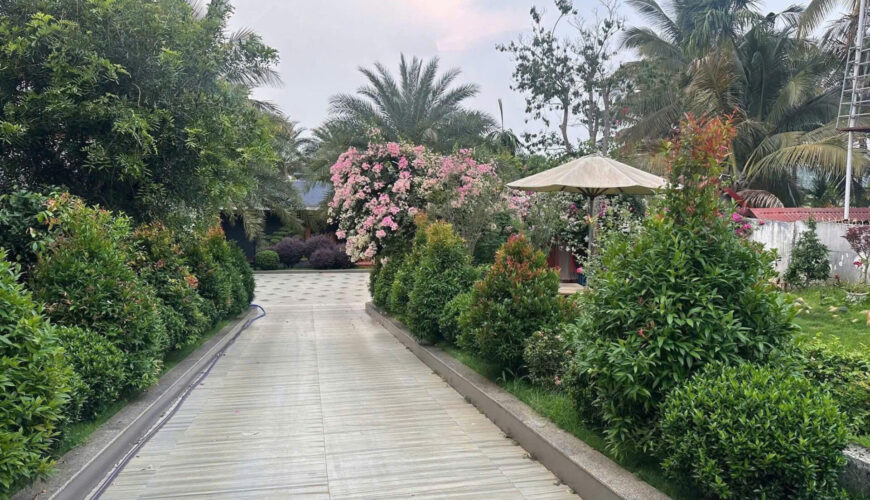 M021 biet thu hoa thang buon ma thuot (4)