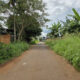 M064 dat hoa thang (2)